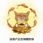 小瑶💞好运连连