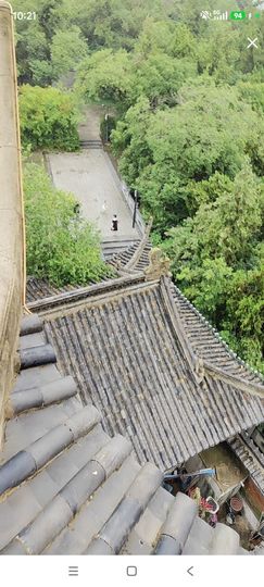 婷婷💕感恩有你陪伴的图片