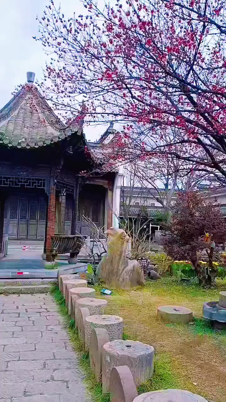 观看208次