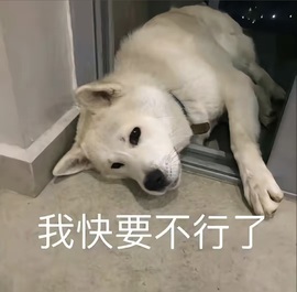 小low头痛休一天的图片