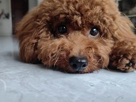 爱笑🌺休几天陪家人的图片