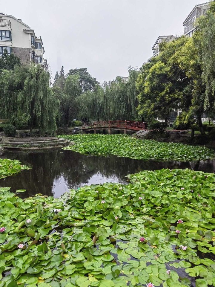 天王盖地虎虎044的主播照片