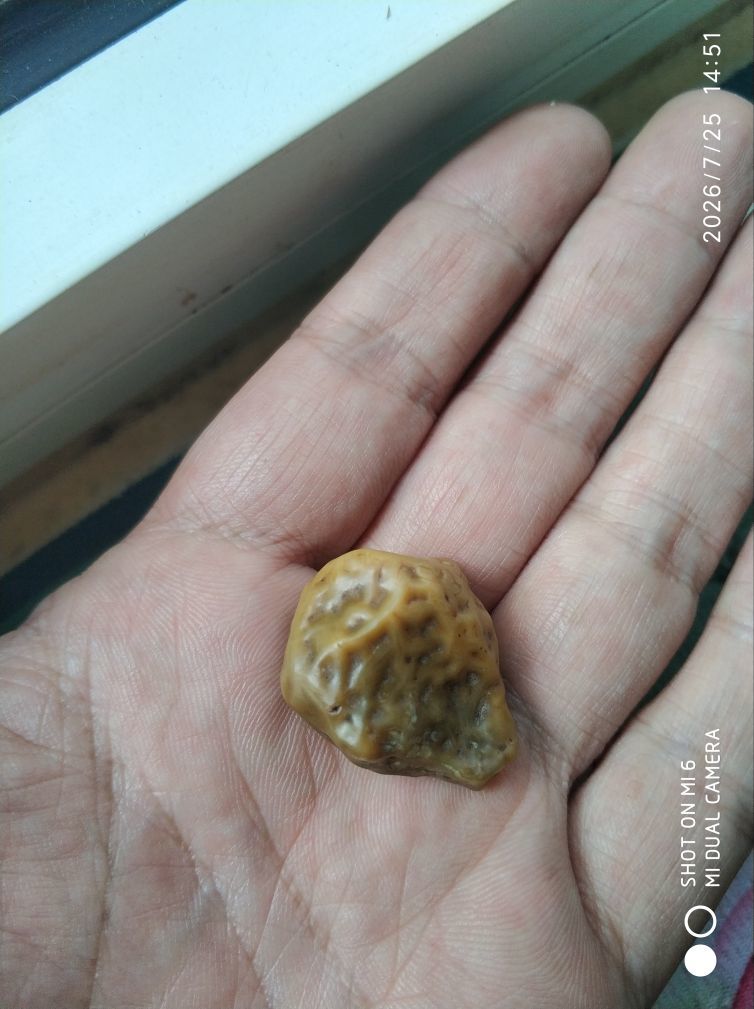 杀止若的主播照片