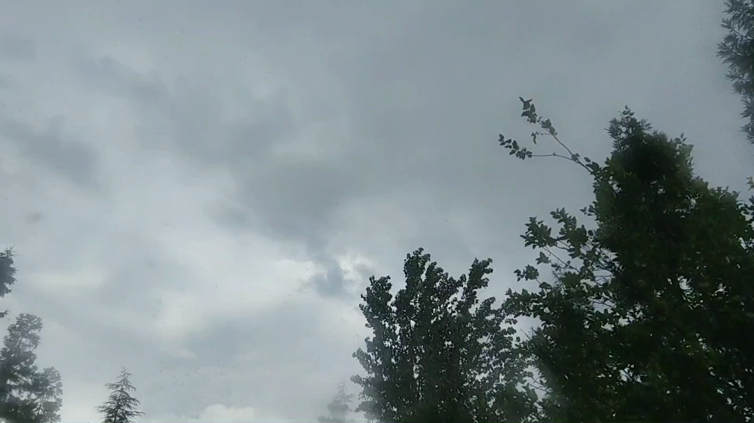 在豆大的雨点间赶路/