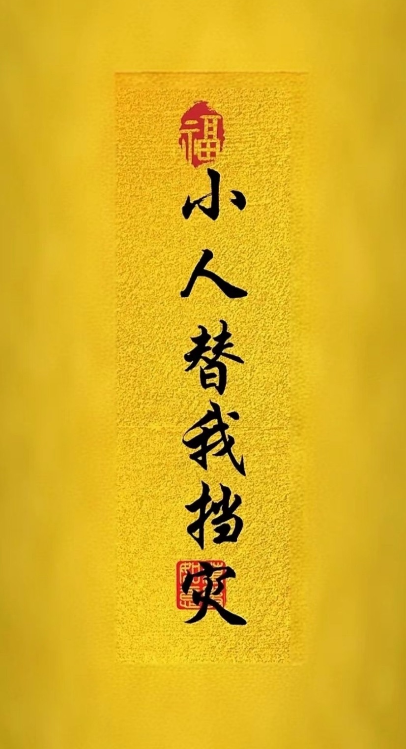 呆呆✨早上七点播的主播照片