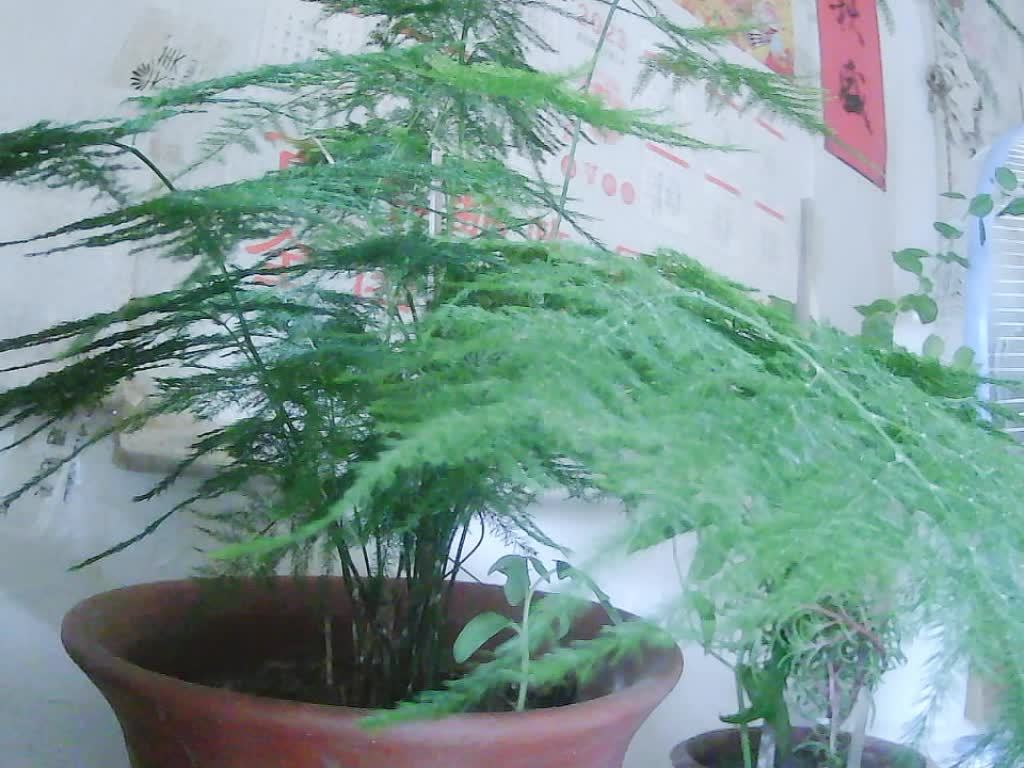 学唱一首《让泪化作相
