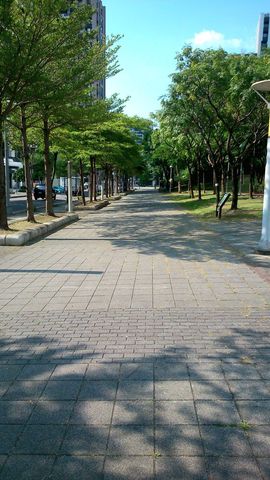 一只楚楚熊☆的图片