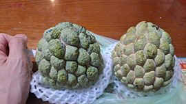 一只楚楚熊☆的图片