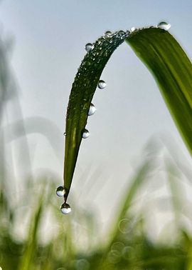 天王盖地虎虎044的图片