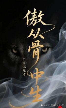 说書人NK主播照片
