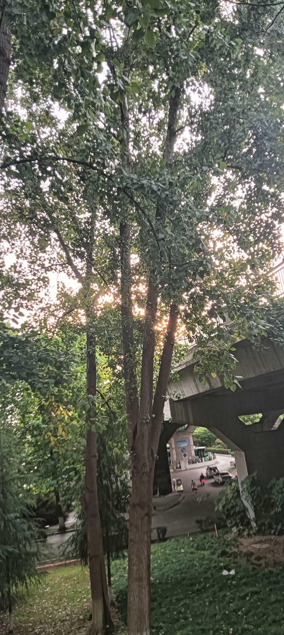 傲世_天下的主播照片