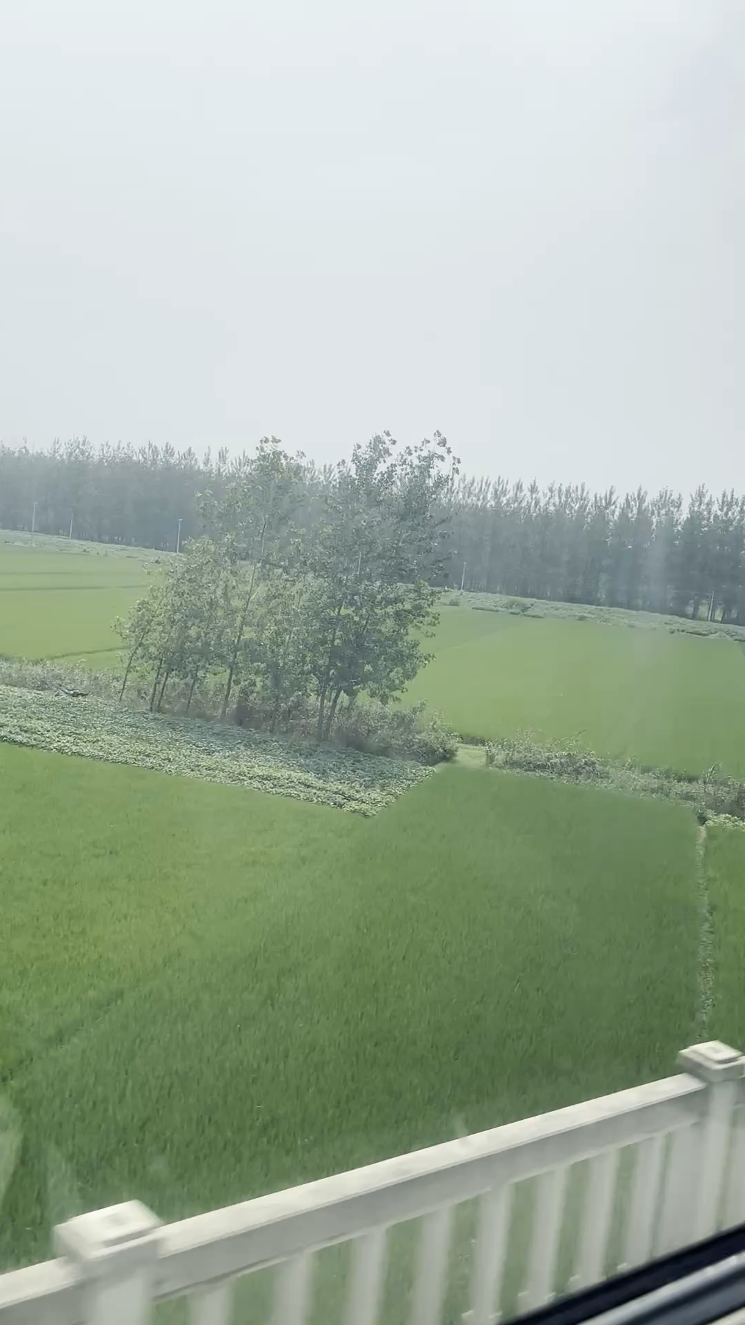 回程喽