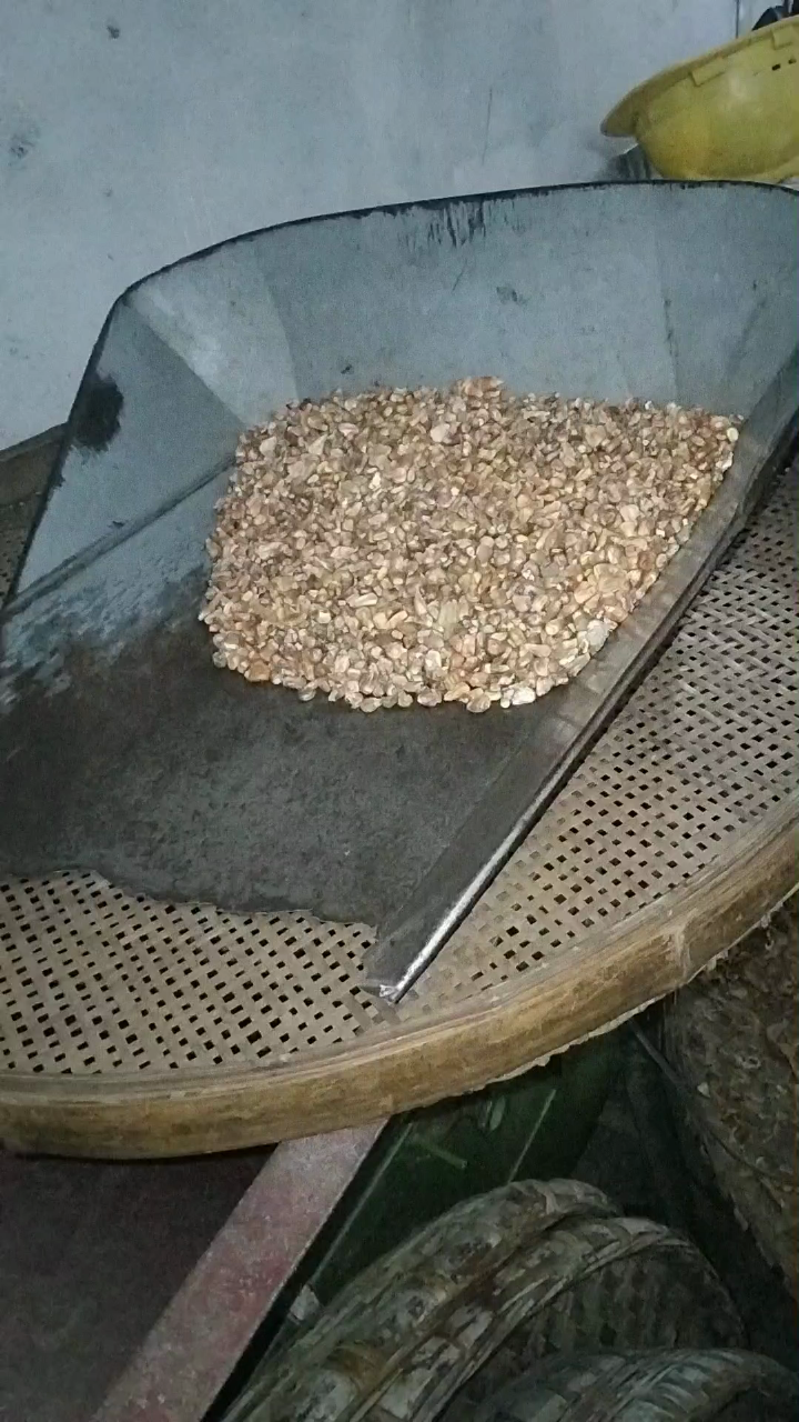 发霉的玉米和正常的大