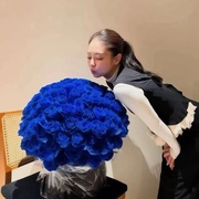 双双子.