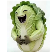 ღ白菜对你笑ღ