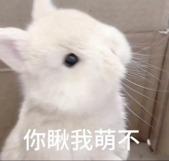陈千羽贺king神帝海报