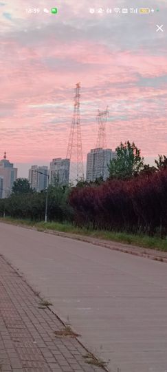 婷婷💕感恩有你陪伴的图片