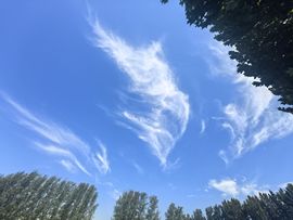 墨冄九九的图片