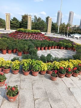 静～静～主播照片
