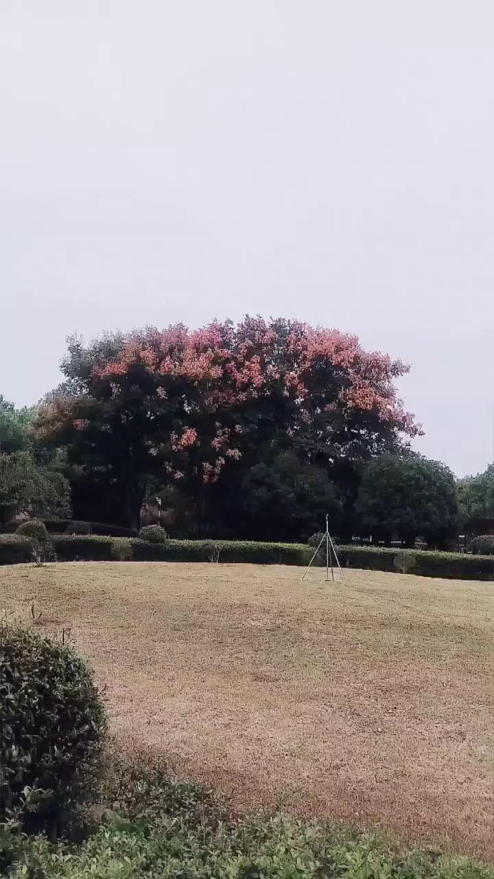 第一时间的你。