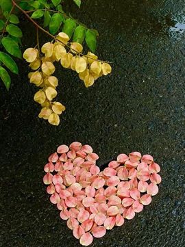 墨冄九九的图片