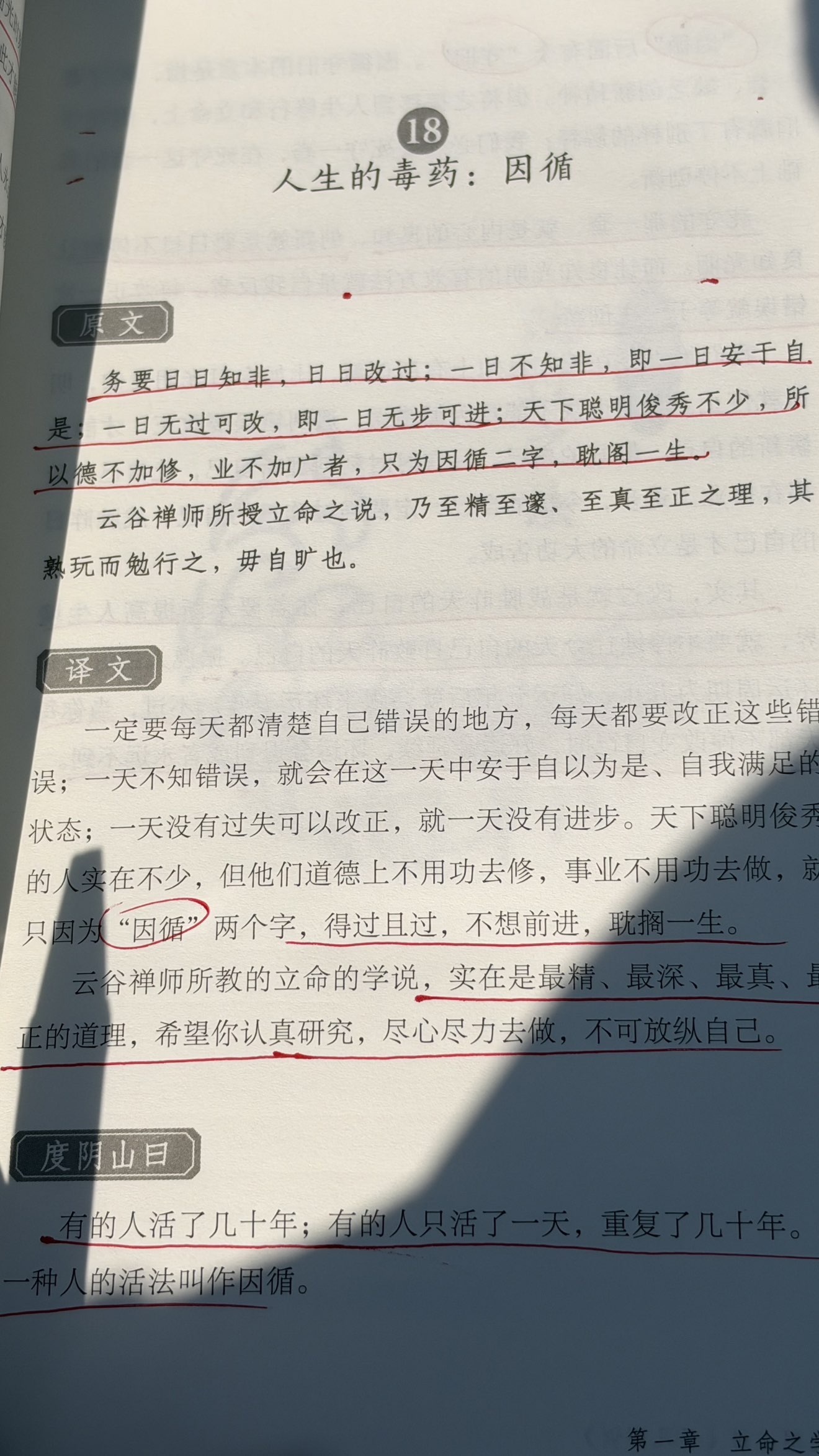 一涵．♫．5125的主播照片
