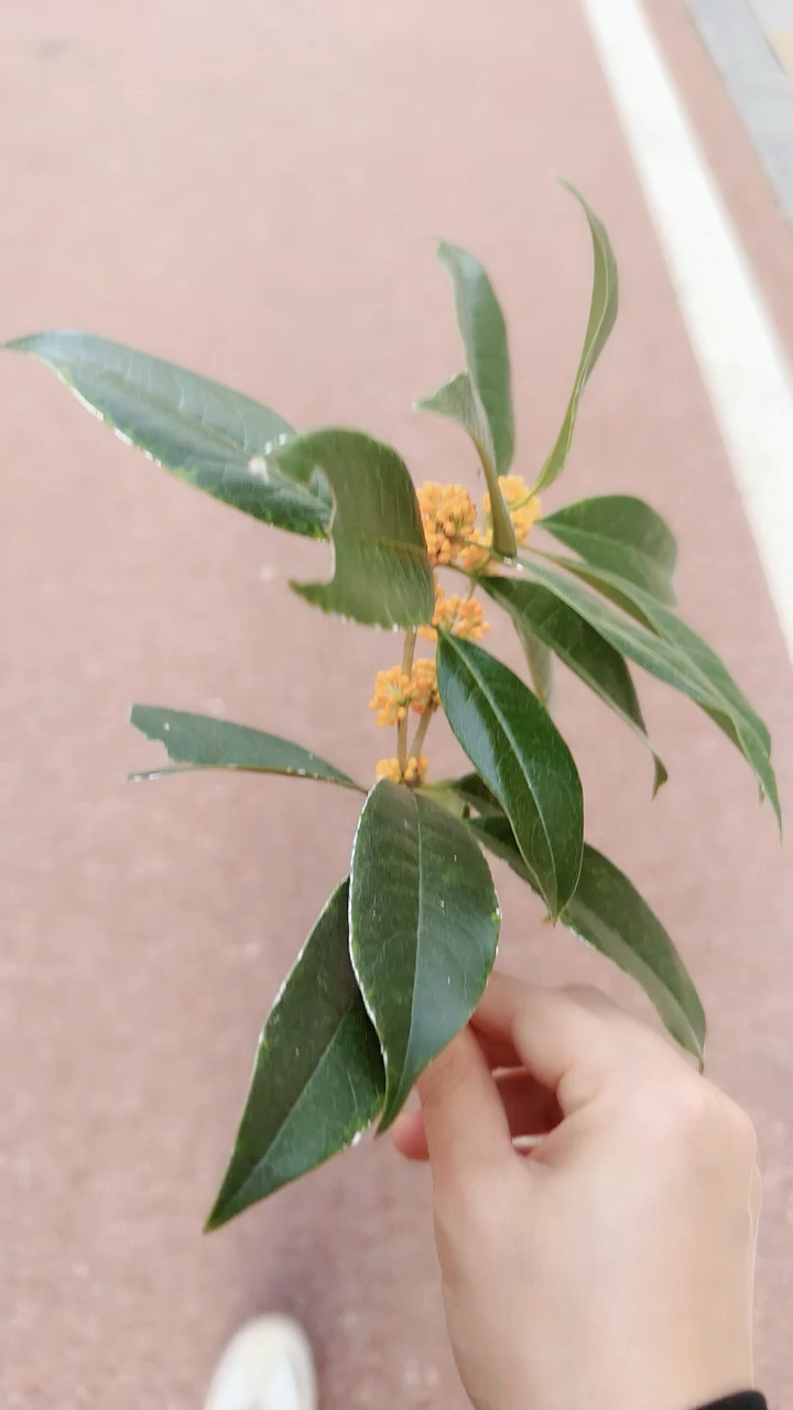 到底是谁好看🤩