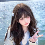 依依✨仙儿