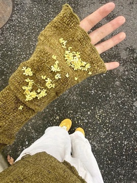 夏至🌸加油的图片