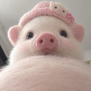 Vivi🍼