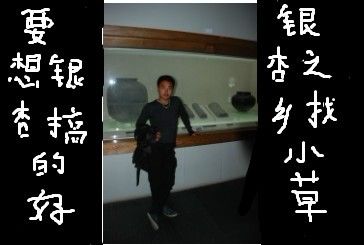 小草银杏绿化基地的主播照片