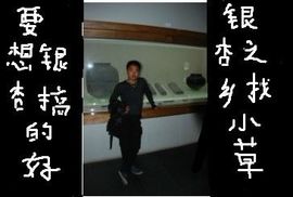 小草银杏绿化基地主播照片