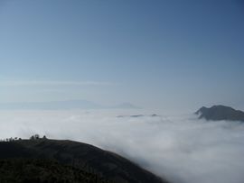 梅香绽寒主播照片