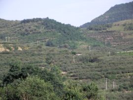 留声岁月主播照片