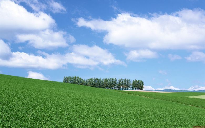 ♚心中的帅哥🌾主播照片