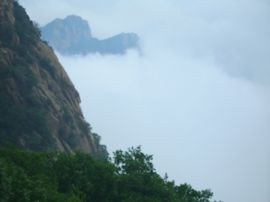 清秋君竹主播照片