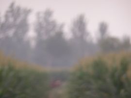 济世活人主播照片