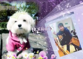 依晨雪阳主播照片