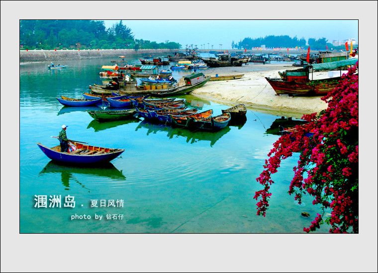 钻石仔的主播照片