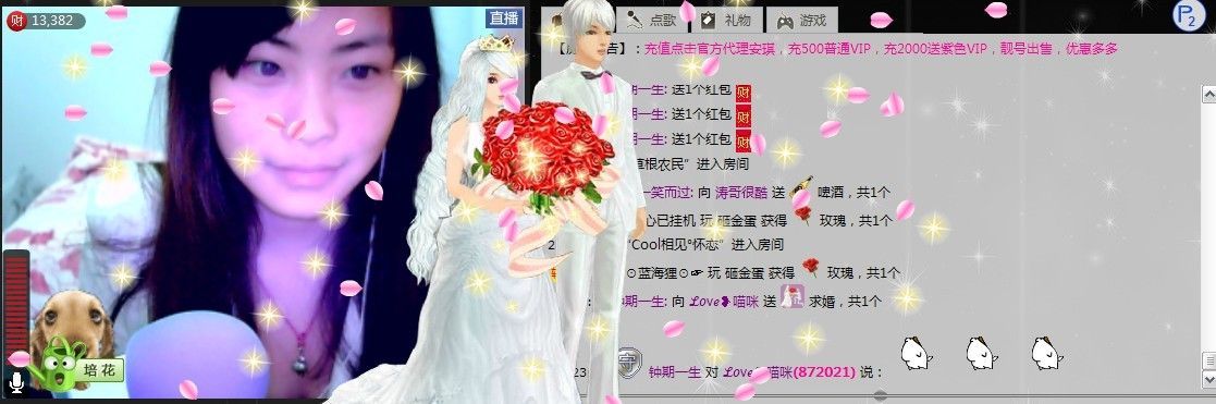 你快到碗里來(lái)?喵咪的主播照片