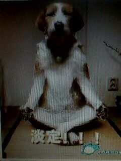 醉墨染烟雨主播照片