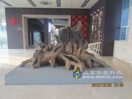 华堂多媒体专家主播照片