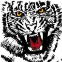 干架联盟☜★顶级阿虎的头像