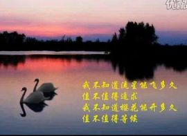 ～追寻主播照片