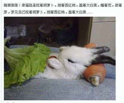 你的———小毛驴@的主播照片