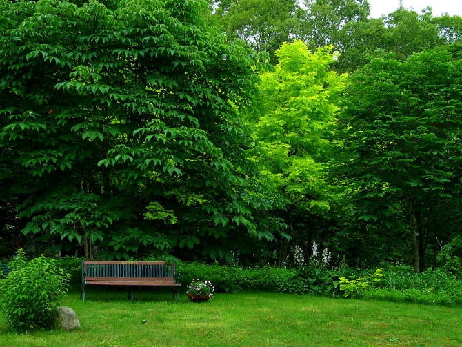 龍の魂擎天主播照片