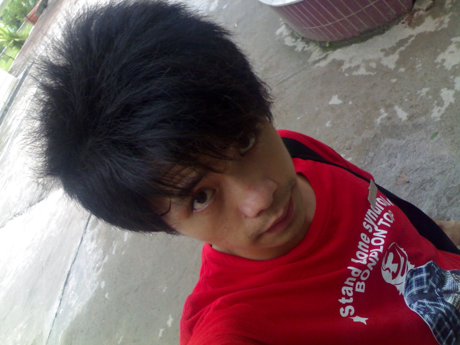 我的麦兜兜的主播照片