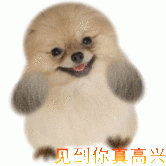国能主播照片
