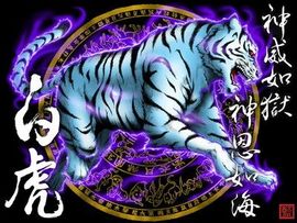 第一花样美男主播照片