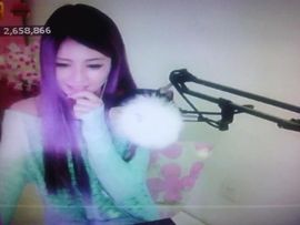 😸熱饅頭主播照片